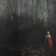 156/Silence - From A Distance album cover