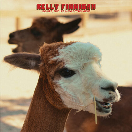 Kelly Finnigan - B-sides, Singles & Forgotten Gems album cover