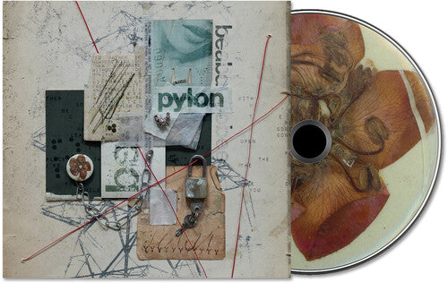 Album cover for beabadoobee Pylon with abstract design on cover and half of the compact disc sticking out of the side of the sleeve.