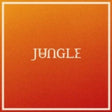 Jungle - Volcano album cover. 