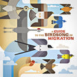 A Guide to the Birdsong of Migration album cover