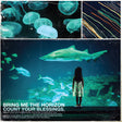 Bring Me the Horizon - Count Your Blessings album cover. 