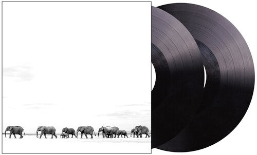 Dave Matthews Band - Where Are You Going album cover and 2LP vinyl. 