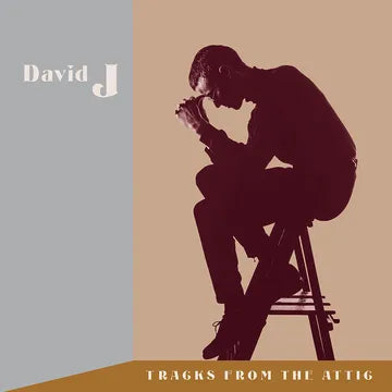 David J Tracks From the Attic album cover
