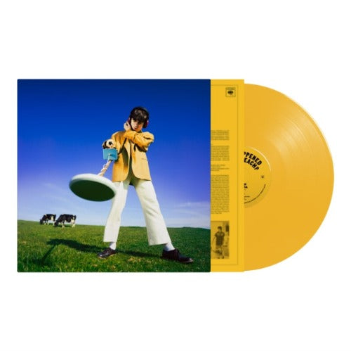 Declan McKenna - What Happened To The Beach? album cover and yellow vinyl. 