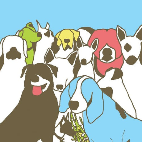 The Format - Dog Problems album cover. 