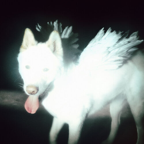 Fat Dog - Cancel Me (I'm Tired) album cover. 