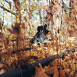 billy woods - GOLLIWOG album cover. 