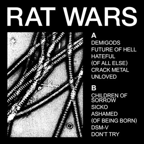 Health - Rat Wars album cover. 