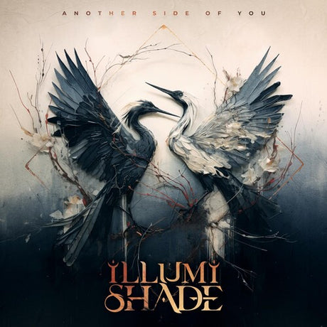 Illumishade - Another Side Of You album cover. 