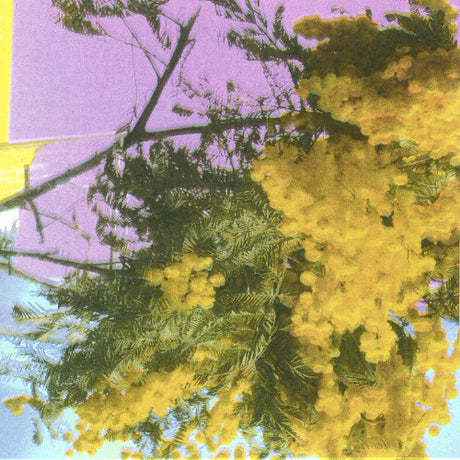 Four Tet - Into Dust (Still Falling) album cover. 
