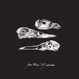 Jason Molina & MJ Lenderman - Last Three Human Words 7" single cover art