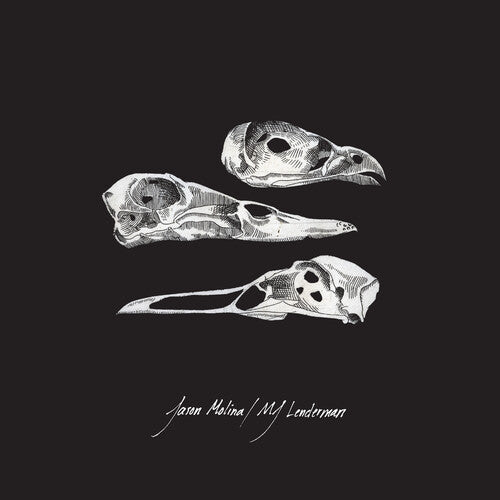Jason Molina & MJ Lenderman - Last Three Human Words 7" single cover art
