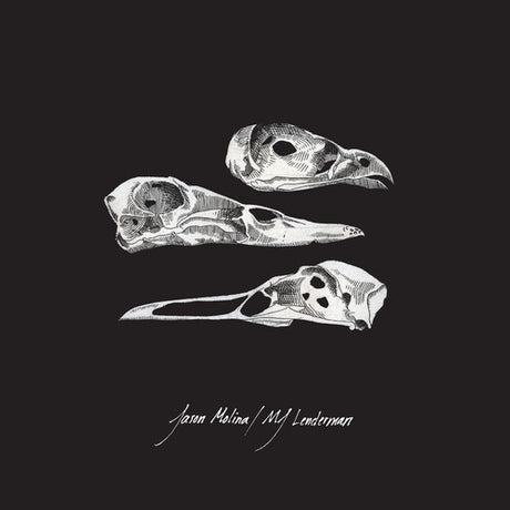 Jason Molina & MJ Lenderman - Last Three Human Words 7" single cover art