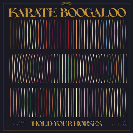 Karate Boogaloo - Hold Your Horses album cover. 