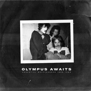 Malfunkshun - Olympus Awaits album cover art