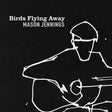 Mason Jennings - Birds Flying Away album cover. 