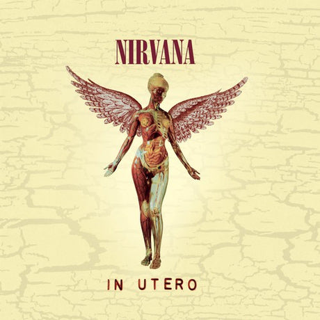 Nirvana - In Utero CD album cover. 