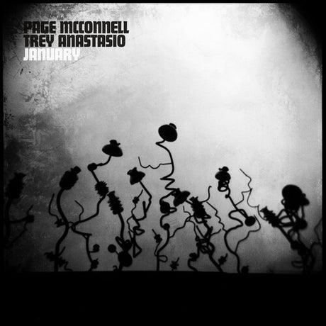 Page McConnell and Trey Anastasio - January album cover. 