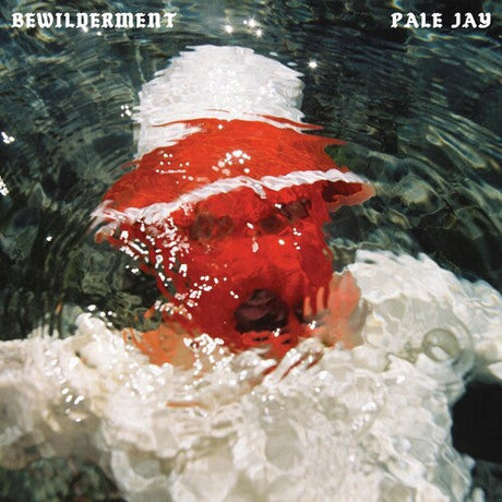 Pale Jay - Bewilderment album cover. 