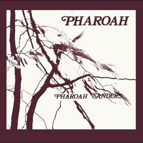 Pharoah Sanders - Pharoah album cover. 
