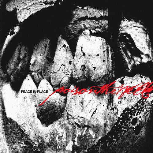 Poison The Well - Peace in Place album cover