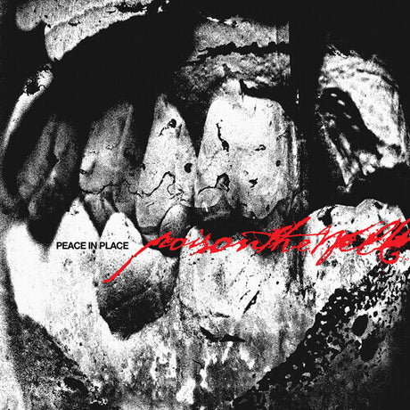 Poison The Well - Peace in Place album cover
