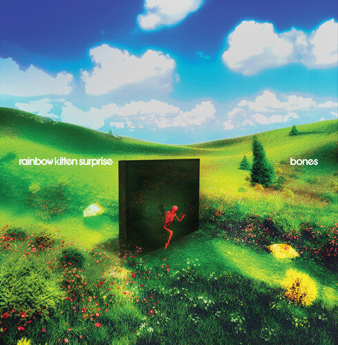Rainbow Kitten Surprise - Bones album cover. 