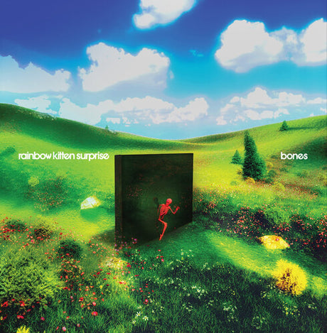 Rainbow Kitten Surprise - Bones album cover. 