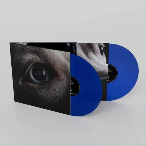 Roger Waters - The Dark Side Of The Moon Redux album cover and 2LP blue vinyl. 