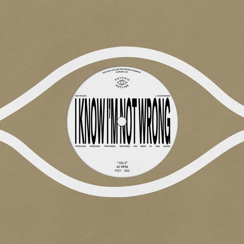 Sam Wilkes - 104.3 7" single