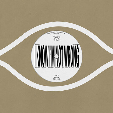 Sam Wilkes - 104.3 7" single