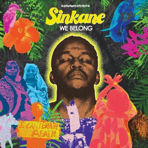 Sinkane - We Belong album cover. 