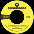 Stephen Colebrooke - Shake Your Chic Behind / Stay Away From Music 7" label. 