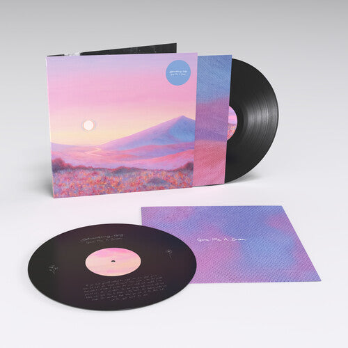 Strawberry Guy - Give Me A Dream album cover and black vinyl