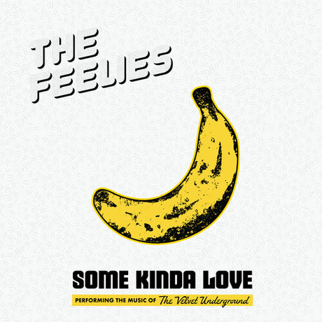 The Feelies - Some Kinda Love album cover