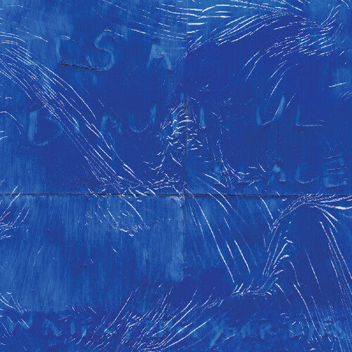 Water From Your Eyes - Its a Beautiful Place album cover. 