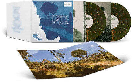 Zayn - Room Under The Stairs album cover, album cover, insert, and 2LP Green w/ Neon Splatter Vinyl. 