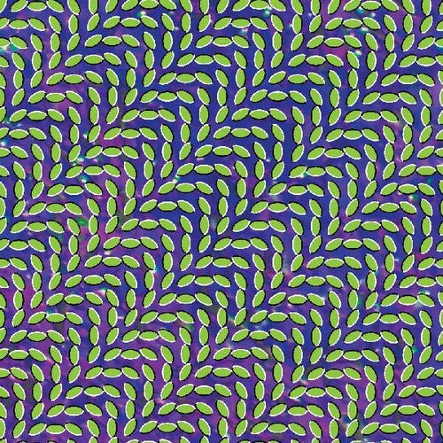Animal Collective - Merriweather Post Pavilion album cover. 