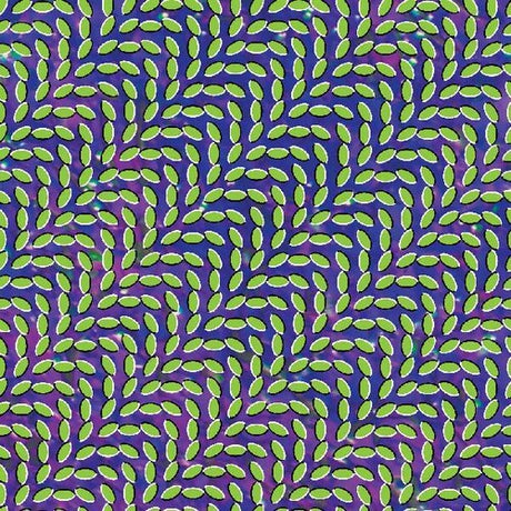 Animal Collective - Merriweather Post Pavilion album cover. 
