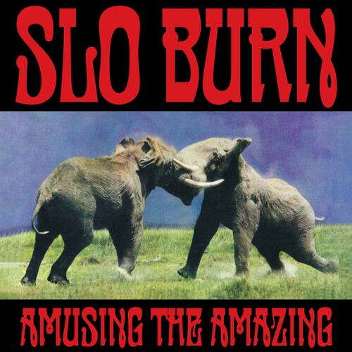 Slo Burn - Amusing the Amazing album cover