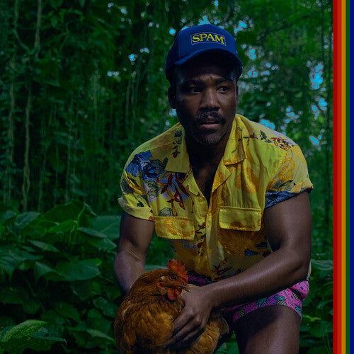 Childish Gambino - Bando Stone And The New World album cover. 