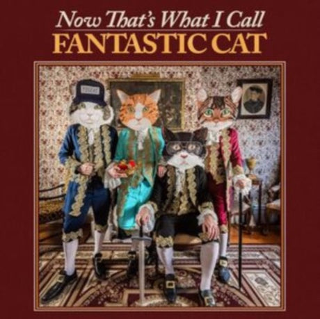 Fantastic Cat - Now That’s What I Call Fantastic Cat album cover. 