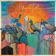 Jaimie Branch - Fly or Die album cover