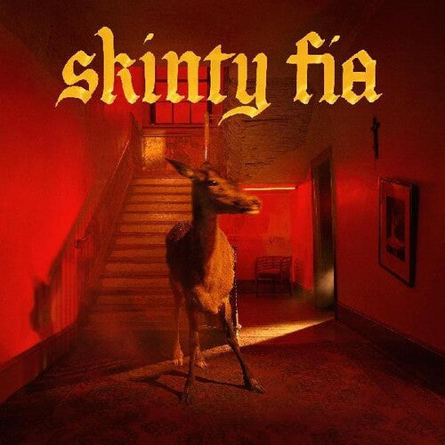 Fontaines DC - Skinty Fia album cover. 