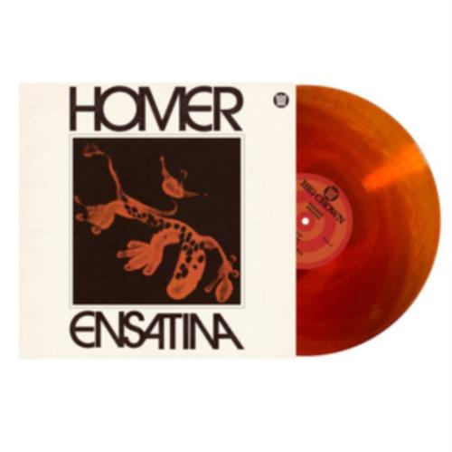 Homer - Ensatina album cover and orange vinyl. 