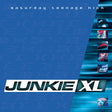 Junkie XL - Saturday Teenage Kick (Remastered, Expanded)
