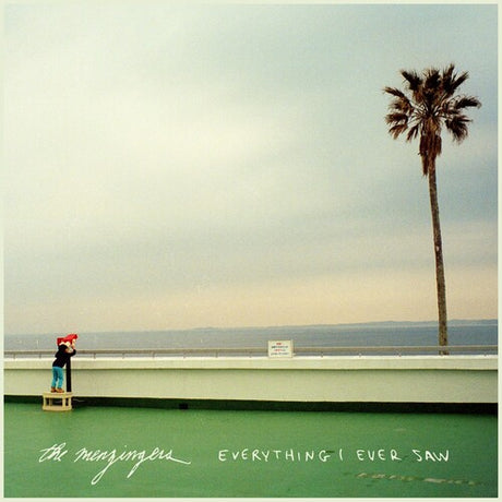 Mezingers - Everything I Ever Saw album cover. 