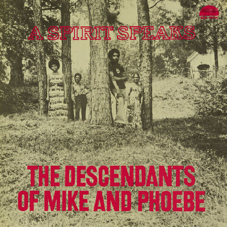 Bill Lee - The Descendants of Mike and Phoebe - A Spirit Speaks (DELUXE EDITION) album cover