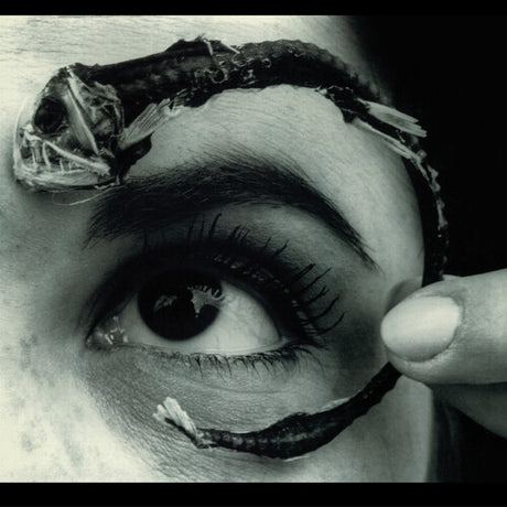 Mr. Bungle - Disco Volante album cover. 